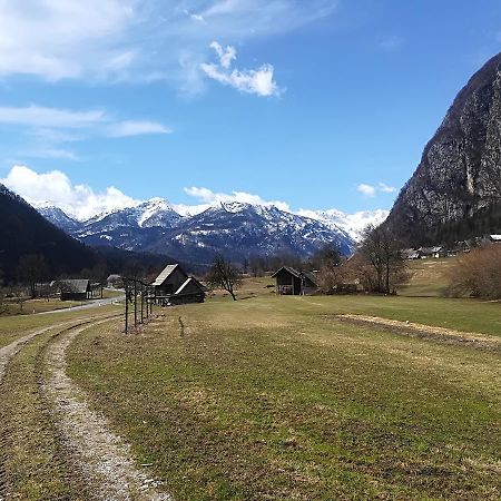 Apartments & Rooms Stare Bohinj Luaran gambar