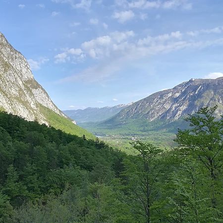 Apartments & Rooms Stare Bohinj Luaran gambar