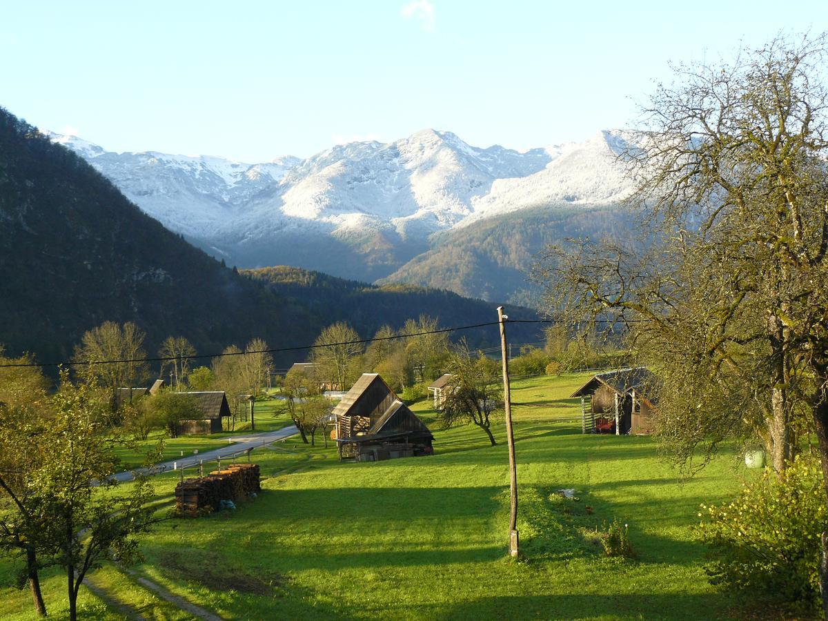 Apartments & Rooms Stare Bohinj Luaran gambar