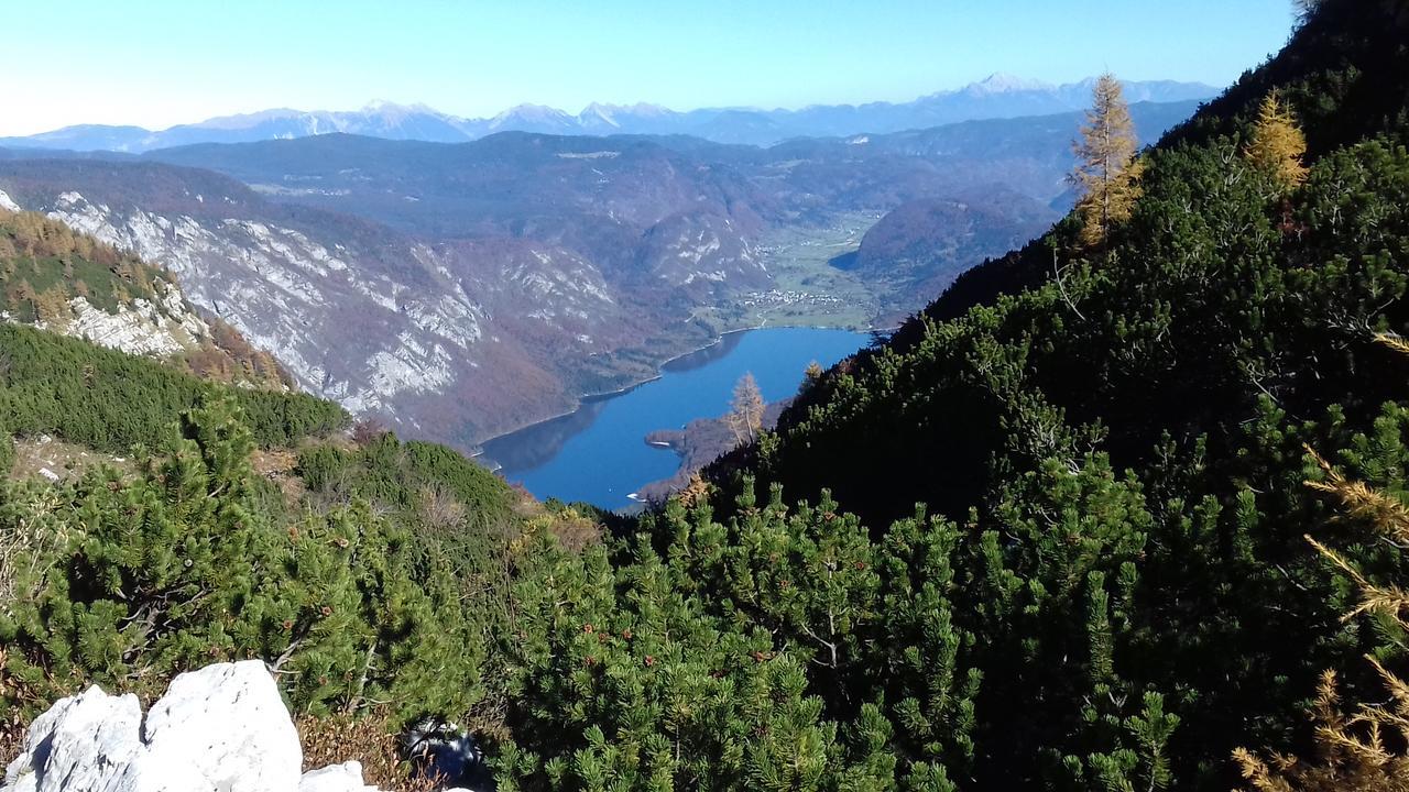 Apartments & Rooms Stare Bohinj Luaran gambar