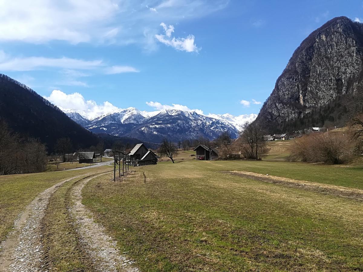 Apartments & Rooms Stare Bohinj Luaran gambar