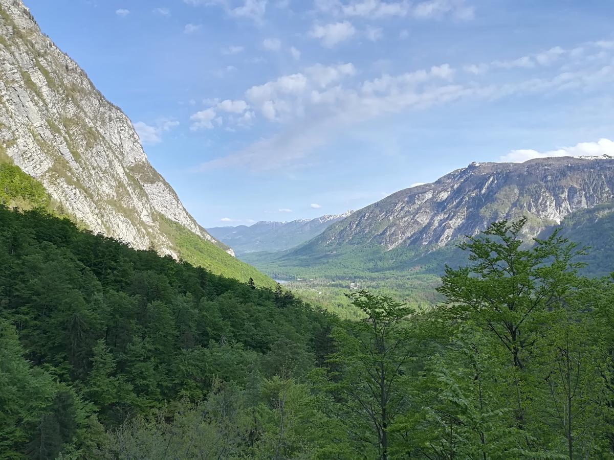 Apartments & Rooms Stare Bohinj Luaran gambar